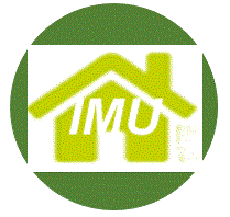IMU